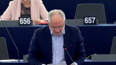 Ivo Vajgl 04 Apr 2017 plenary speech on refugee and migrant