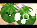 2 Watermelon Pop! Satisfying ASMR Fruit Drop Merge Melon Game #games #asmr #puzzlegame #mobilegame 