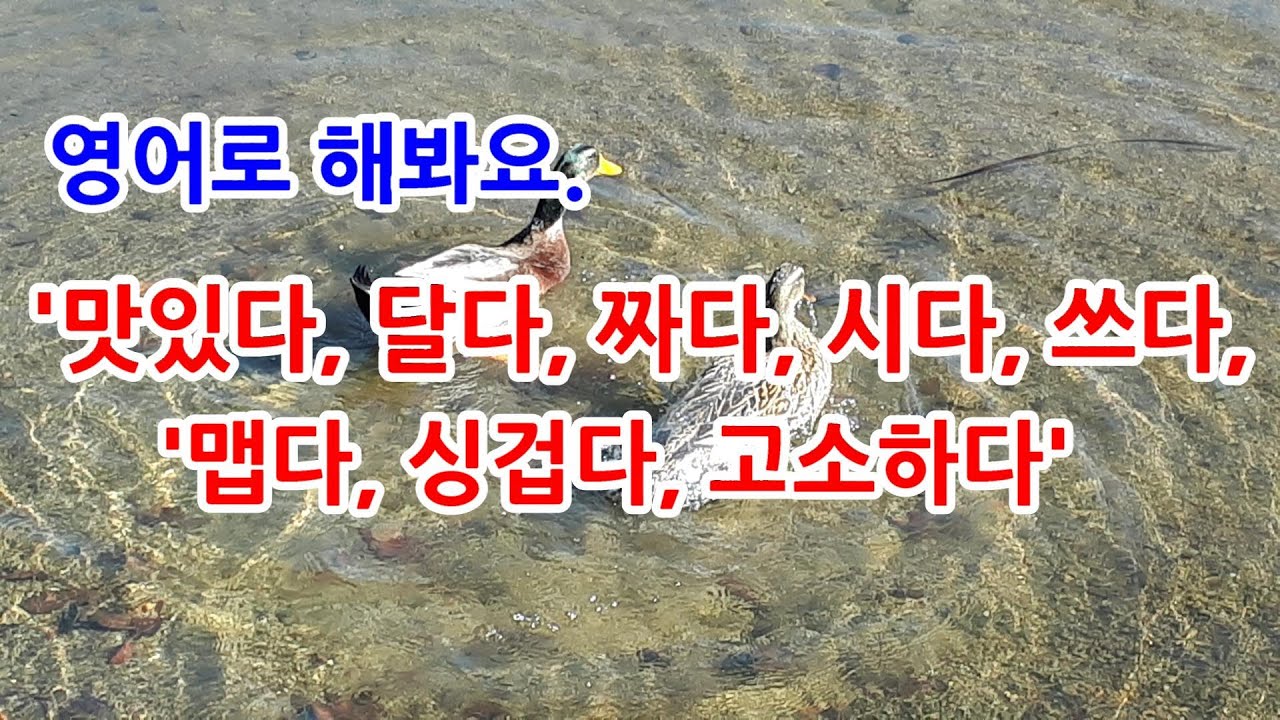 '맛있다, 달다, 짜다, 시다, 쓰다, 맵다, 싱겁다, 고소하다' 영어로 - YouTube