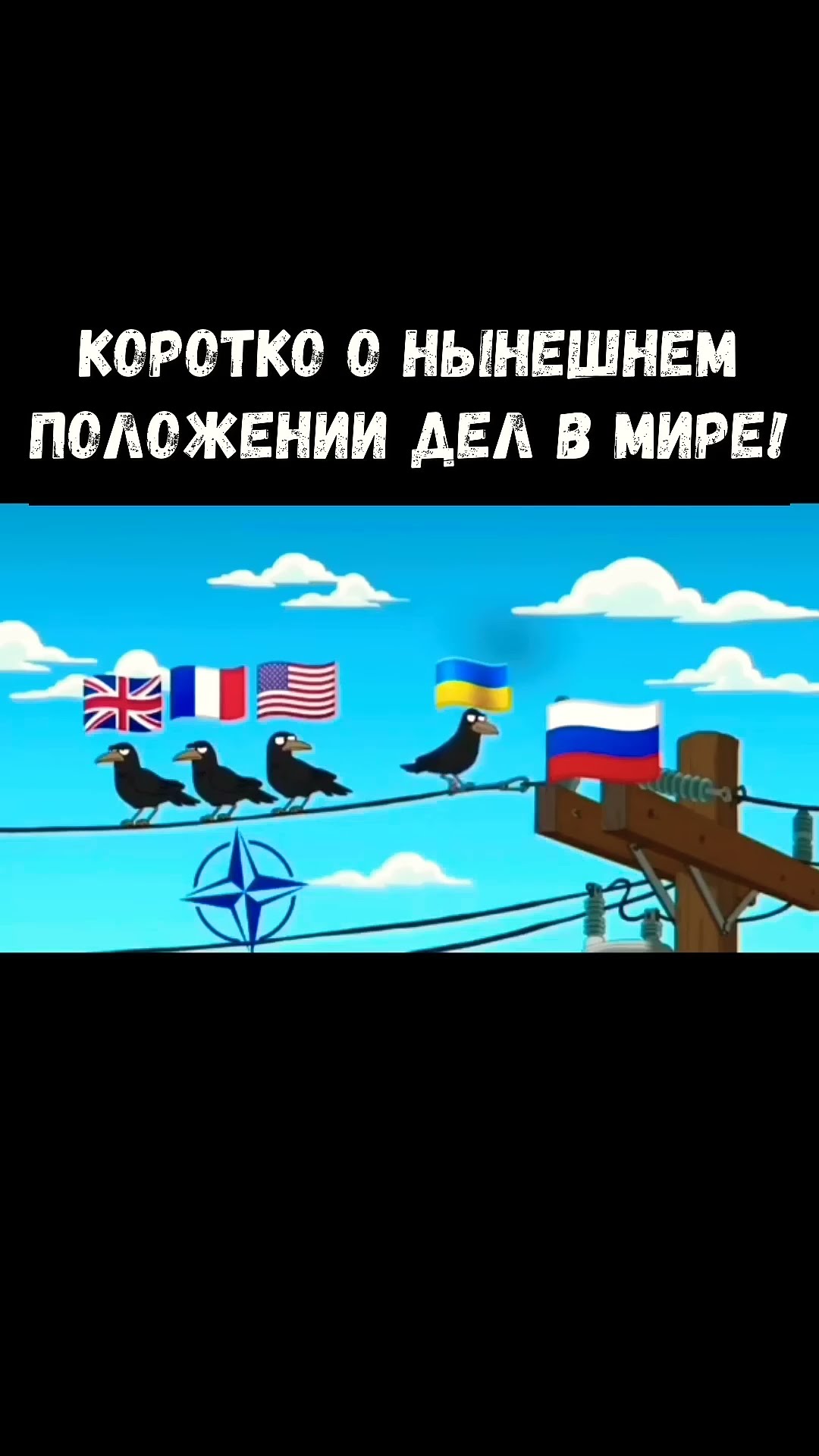 Азия мяу