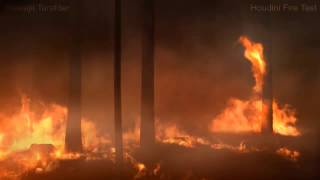 Houdini Fire FXTest 01