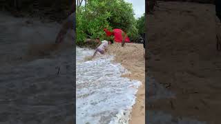Beachgoer Tumbles as Sea Snake Sweeps By on Wave