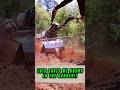How This Tiny Tractor Makes Gardening So Easy!