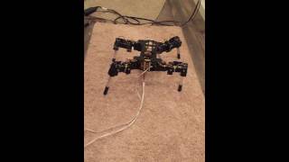 Walking robot gait test (four phase)