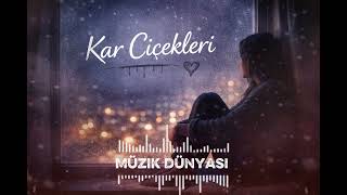 Kar Çiçekleri