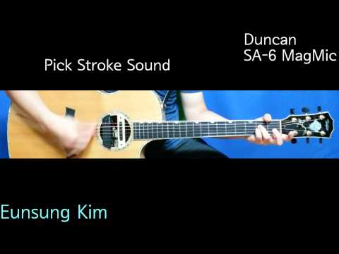 Duncan SA-6 MagMic