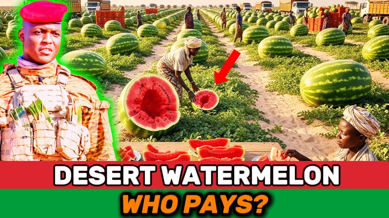 What’s Really Behind Traoré’s 100,000 Hectares of Desert Watermelons in Burkina Faso?