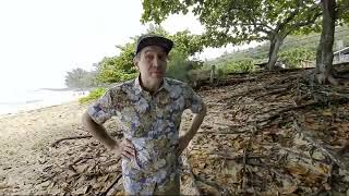 LIVE from Hawaii - How to write off your holiday travel! MJK