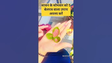 सावन के सोमवार को 5 बेलपत्र वाला उपाय अवश्य करें होगी मनोकामना पूर्ण #pradeepmishra #mahadev #shorts