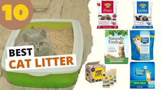 Top 10 Best Cat Litters in 2023 | Our Top Picks!