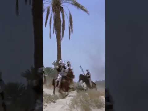 شبعان والبركه في ابويا مش ذيك مسروع