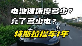 特斯拉提車1年，充了多少電？電池健康度還剩多少？【極客講車】能耗表點睇？