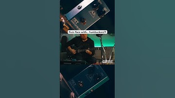 Don’t knock it til you try it // #fuzzpedal #fuzz #fuzzface #humbuckers #wideskyguitars