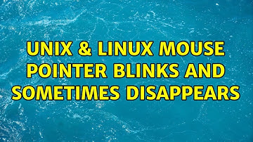 Unix & Linux: Mouse Pointer Blinks and Sometimes Disappears