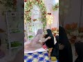 Ketik Amin segera menyusul 😍🥰 #aceh #fyptiktok #fypシ #couple #viral #viralvideo #engagement