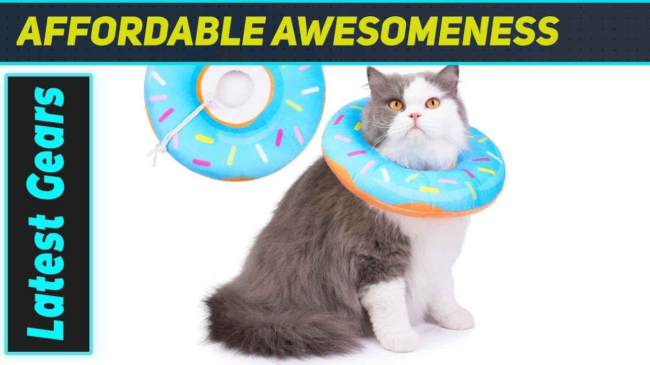 Cat Cone Collar: The Ultimate Comfortable Recovery