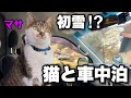 【猫と車中泊旅】雪がちらつくスキー場と温泉街|猫湯たんぽとポータブル電源で冬でも暖かく快適な車中泊
