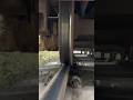 How Train Wheels Rolling over Rail Track? Close View. #railway #shorts