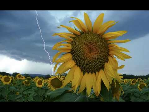 Payday Monsanto - End of the Day