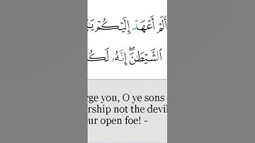 #سورةياسين#سورةيس #محمودخليل #عبدالباسط #القارئ #lecoranalkarim #daaralecoran #surah #daaraalguran