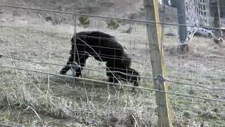 Terry, Terry, Big And Scary