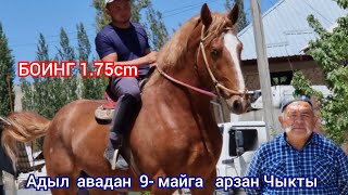 💥БОИНГ   💥 1.75 см  Адыл авадан Сатууга чыкты