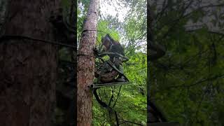 11 year old WITH A CLIMBER