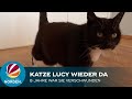 Verschwundene Katze Lucy nach fast acht Jahren wieder da