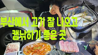 이제 날씨가 좋아요~ 부산에서 고기도 잘 나오고 캠낚하기 좋은 포인트 #전갱이 #부산전갱이 #부산낚시 #전갱이낚시 #전갱이루어 #aji #ajing #アジ #アジング #캠낚 #영도
