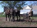 Horse Powered Organic Farming at Karbaumer Farm