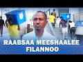 Naannoo Filannoo Finfinneetti Meeshaaleen Filannoo Raabsamaniiru 