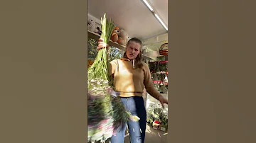 Как выглядит Гипсофила в упаковке и что с ней делать 😍