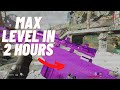 How to Max Weapon Levels in Under 2 hours (Call of Duty: Cold War)