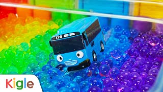 Truk Pengangkut Mobil Mainan Untuk Anak-anak | Kolam Renang Water Beads Pelangi | KigleTV Indonesia