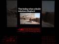 for Ghost and Roach #gamingvideos #gaming #pcgaming #pcgames #codmw2 #callofduty #modernwarfare2