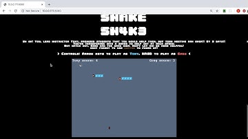 A Twist on the Classic Snake Game