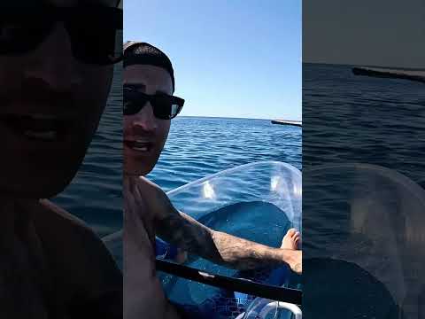 Transparent Kayak VS Whale..