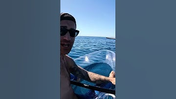 Transparent Kayak VS Whale..