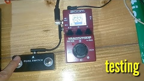 Zoom MS60B Modify using Dual Switch for Left and Right