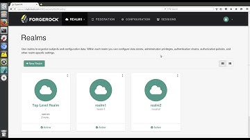 ForgeRock OpenAM   Configuring Different Realm Users from Different OpenDJ Base DN