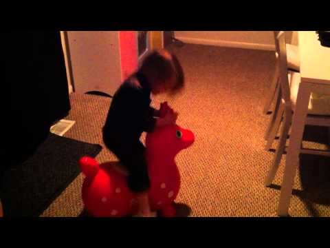 Rody Horse Bonk.  Feb 2012