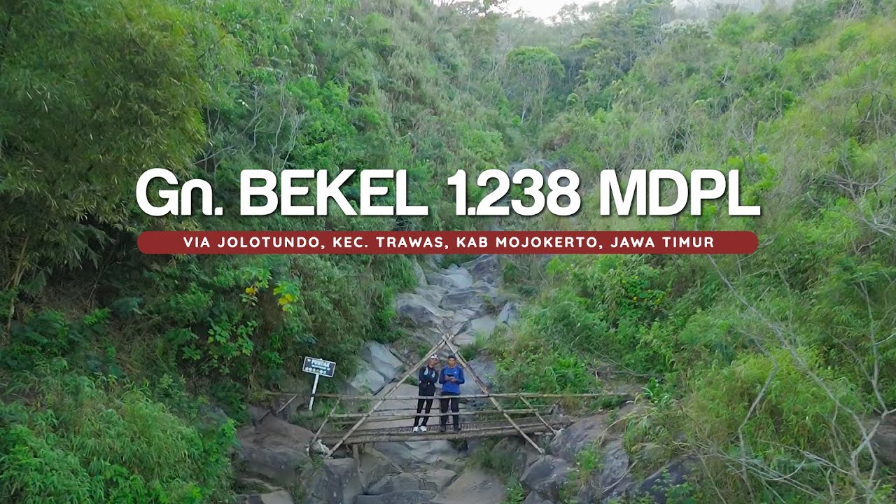 PENDAKIAN TEKTOK GUNUNG BEKEL 1238 MDPL VIA JOLOTUNDO - APAKAH COCOK UNTUK PEMULA?