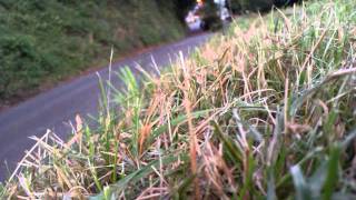 DylSkates Longboarding mini-edit 1