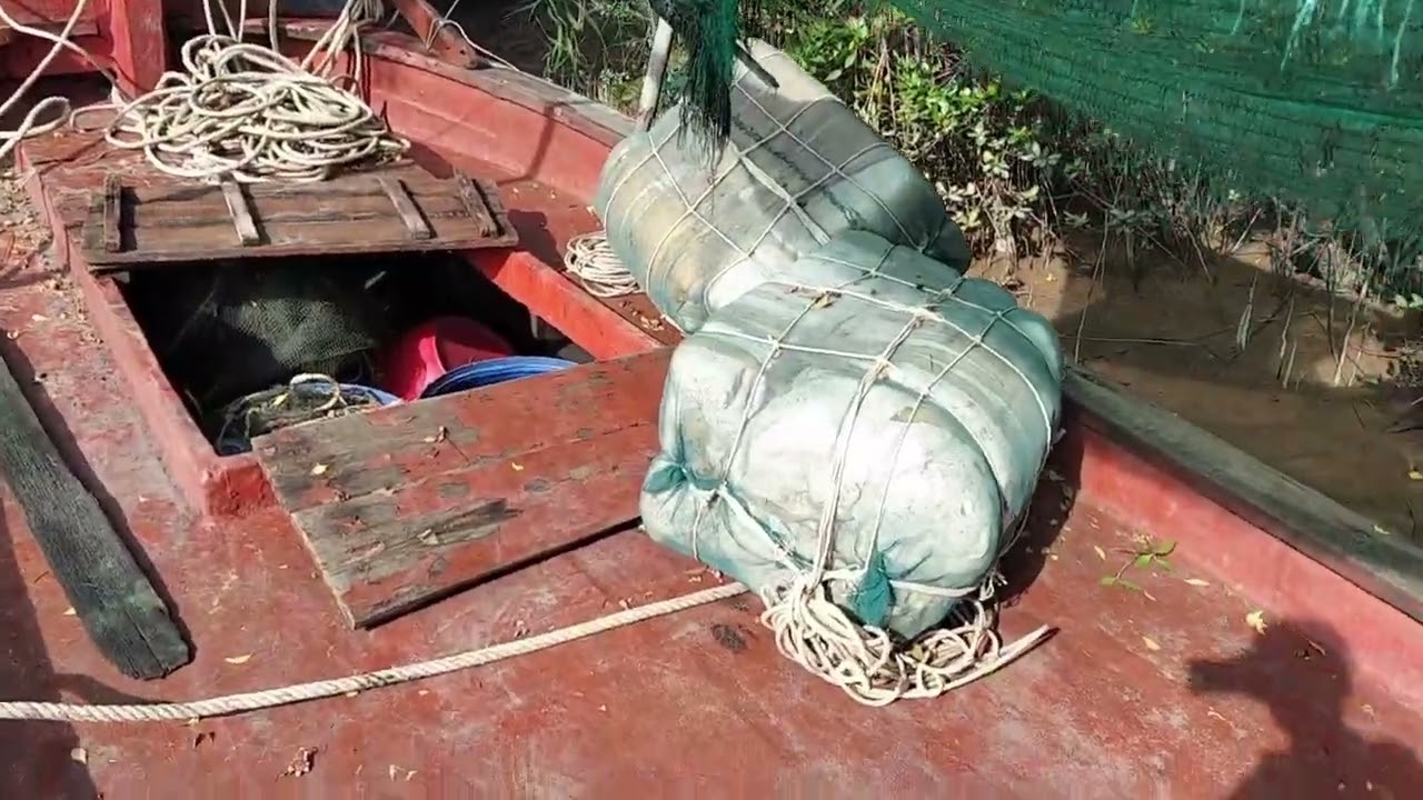 Đã bán gà tre ngang 3,2 m dài 13,3 m