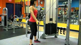 Cable One Arm Straight Pulldown.AVI