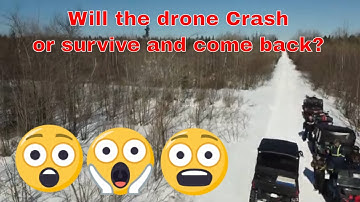 Will the drone crash?    #DJI vs tree branch - #outofcontrol RETURN HOME FOR THE WIN!!!