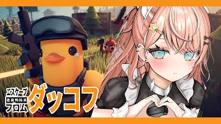エスケープ フロム ダッコフ┊︎チルに新天地に赴きたい【 にじさんじ / 五十嵐梨花 】