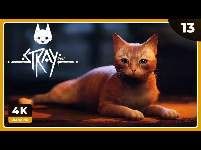 Stray: Ter gato fofo como protagonista esconde mediocridade do jogo em  gameplay - Millenium