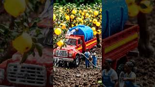 World’s Most Rare Golden Apple 😍🍏Golden Apple Factory Farming 🚜🍎 Amazing Harvest!