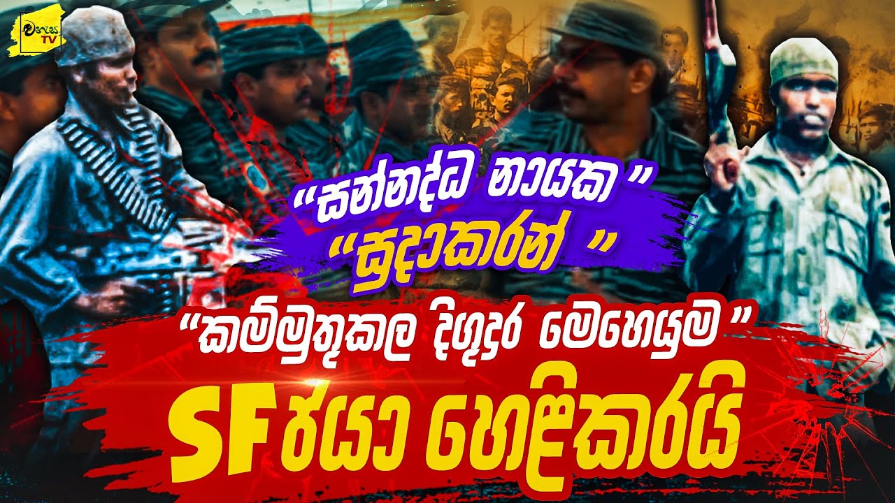 කොටි නායක සුදාකරන් කම්මුතු කල දිගු දුර මෙහෙයුම SF ජයා හෙළිකරයි | WANESA TV